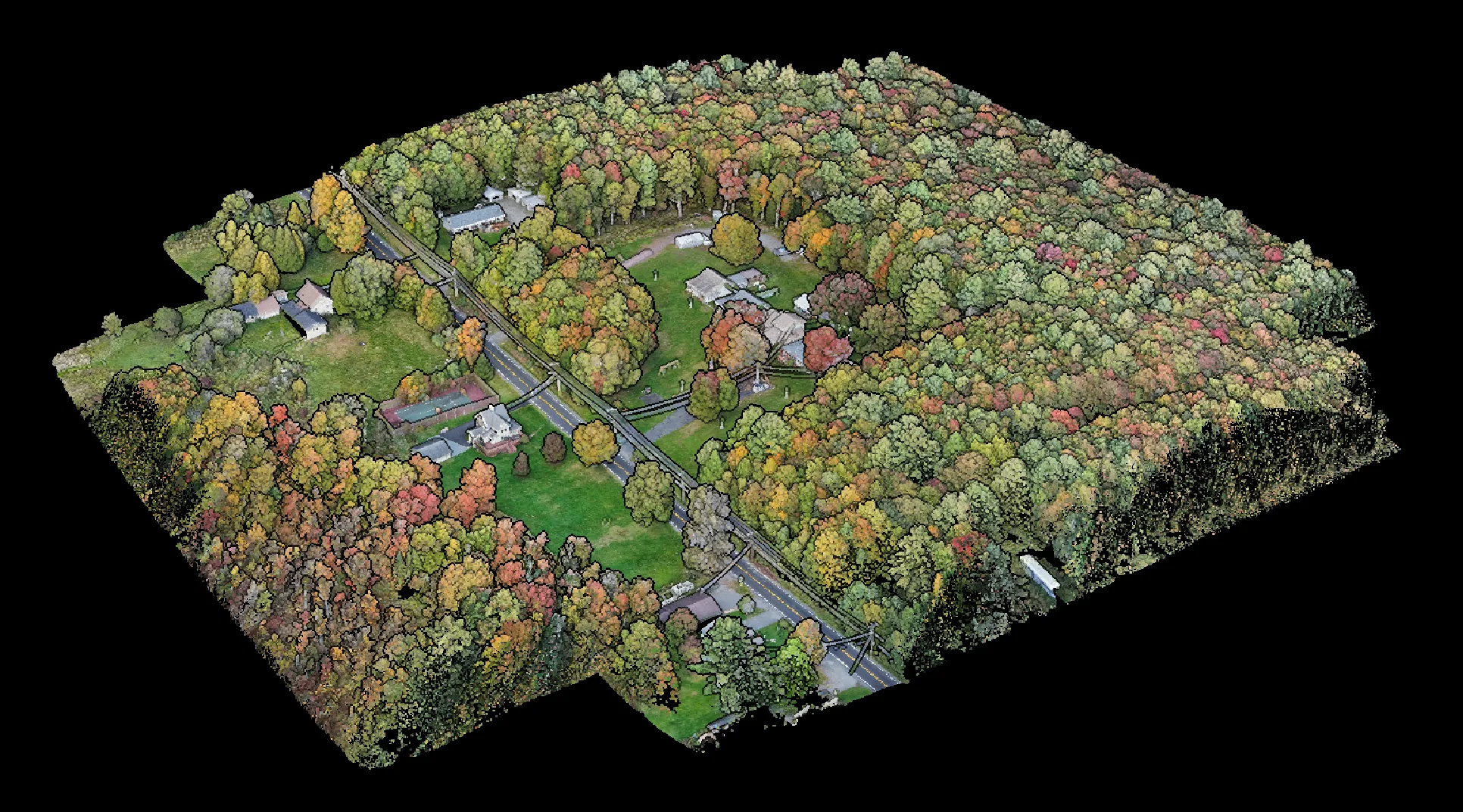 Colorized LiDAR point cloud showing trees, buildings, a road and overhead utility lines